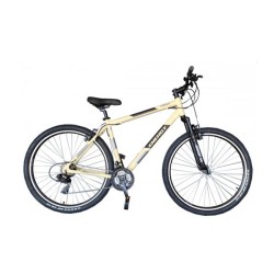 Ποδήλατο MTB Energy Enigma 27,5" - Γκρι Κρεμ Ματ