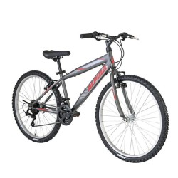 Ποδήλατο Παιδικό Alpina Alpha MTB 24x12 Ανθρακί