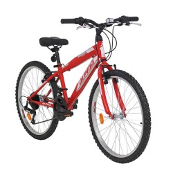 Ποδήλατο Παιδικό Alpina Alpha MTB 24x12 Κόκκινο